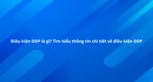 điều kiện DDP là gì